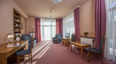 Willa Excelsior - zdjecie nr 6